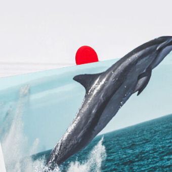 Syrons Telefon Ekranı Büyüteci - 12 İnç